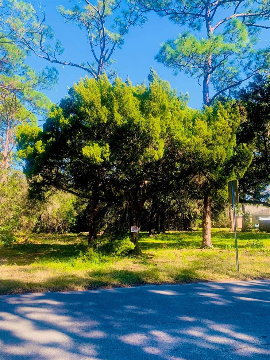 SUBJECT PROPERTY IS LOCATED IN A QUIET RESIDENTIAL COMMUNITY AND CONSISTS OF THREE LOTS ENCOMPASSED WITHIN TWO PARCELS OF LAND WITH 150 LF OF FRONTAGE ON ALABAMA STREET AND AN AVERAGE DEPTH OF 176.9 LF.; Cleared: No ;Water: Available at Site