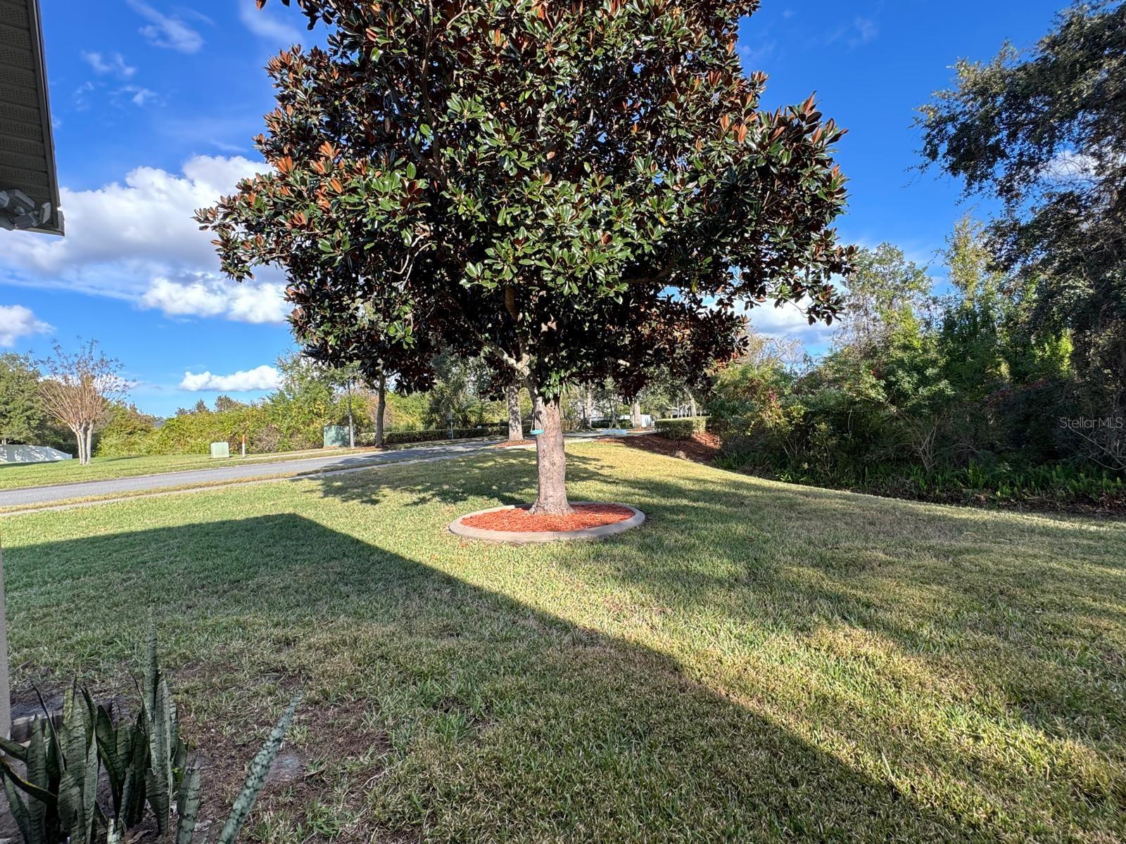 SPRING ISLE - Residential Lease