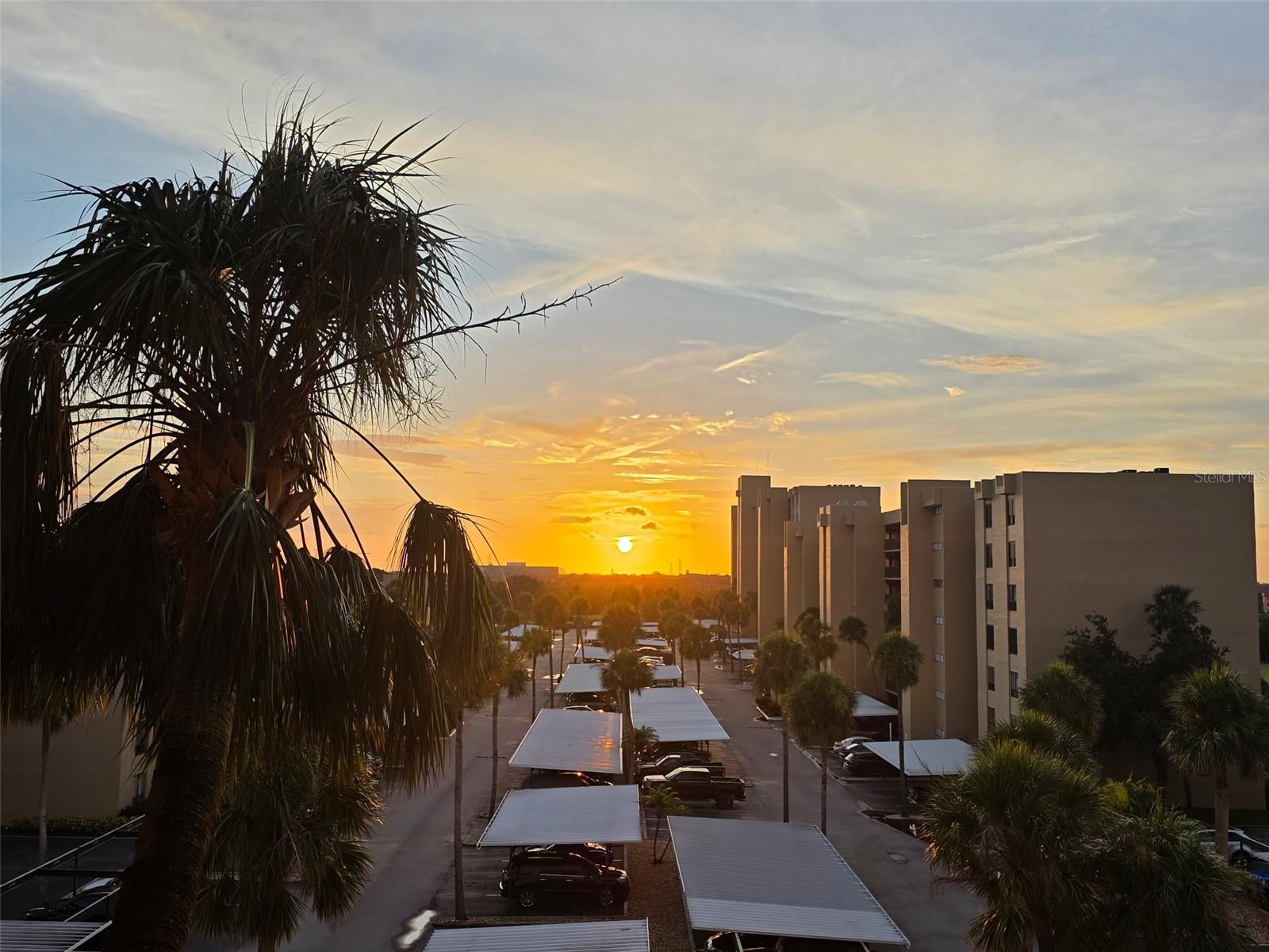2616 COVE CAY DRIVE 505