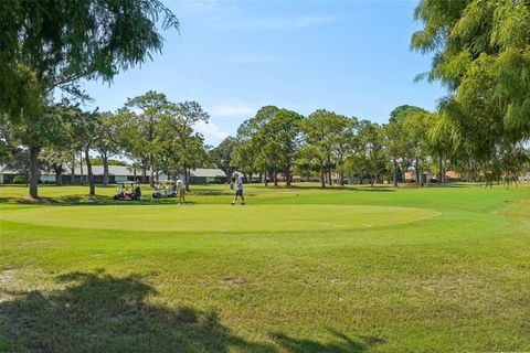 A home in PALM HARBOR