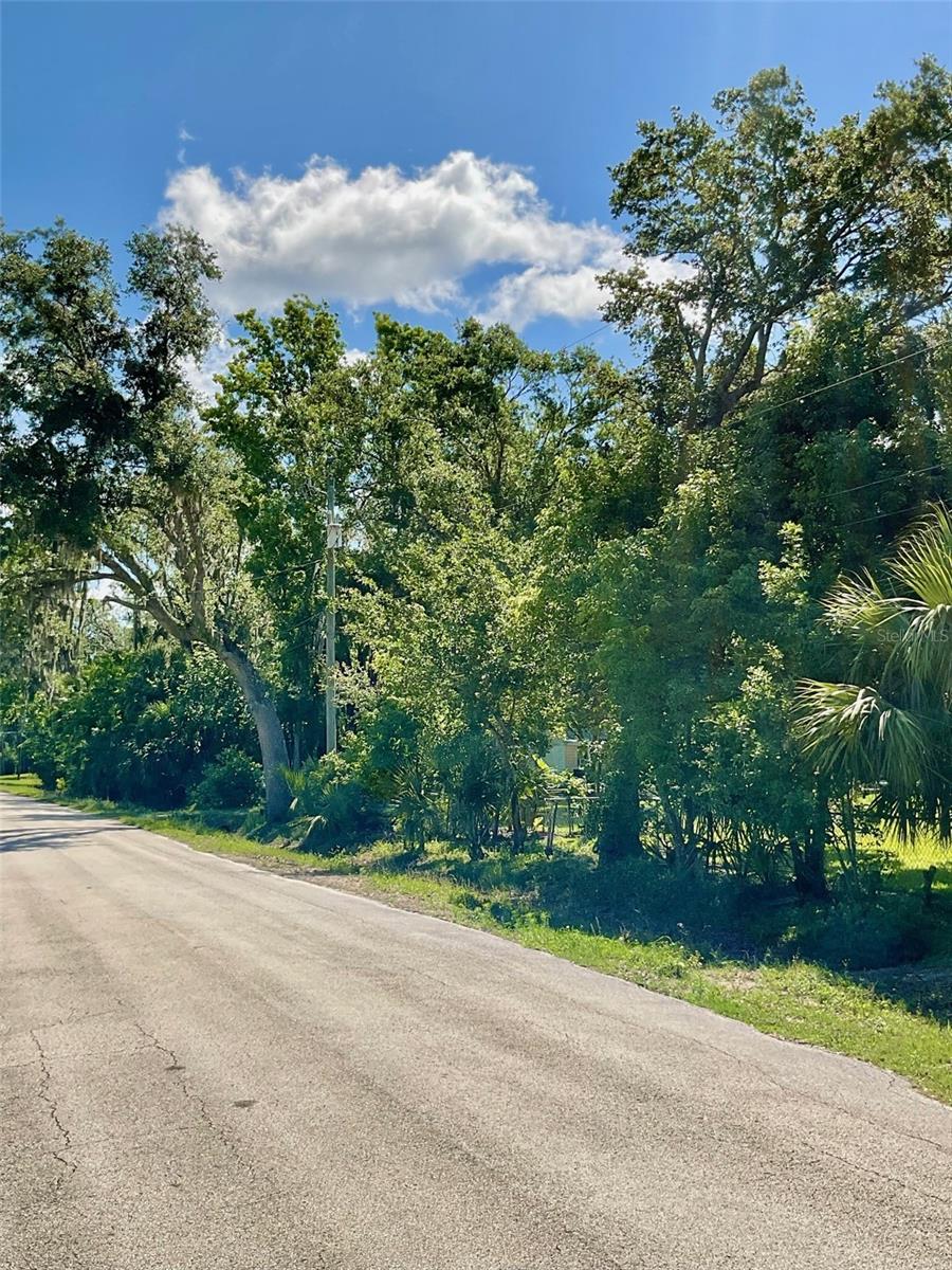 NAPIER & HULL GRANT - Land