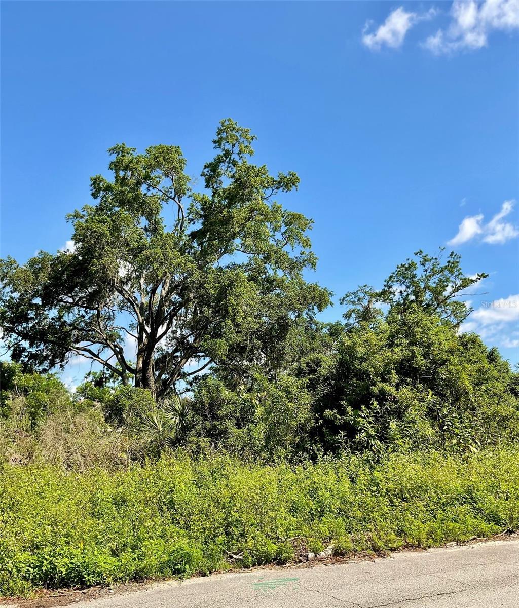 Listing image 7