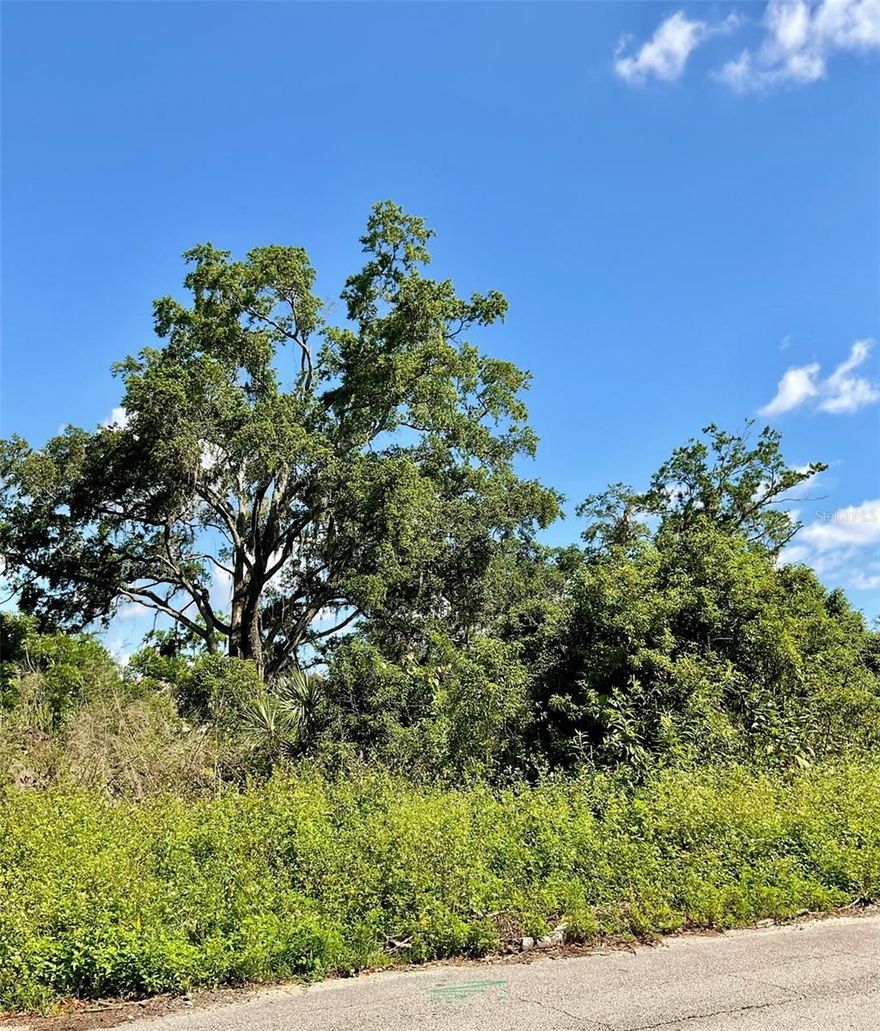 Rare opportunity - vacant land - Close to the beach, yet in a mature neighborhood, with trees, perfect to build your dream home. Buildable lot size - 1/3 of an acre in a residential area. Lots of possibilities to make it your dream home. Conveniently located minutes from the beach, restaurants, shopping centers, businesses as well as major roadways, I-95 and Highway 44.