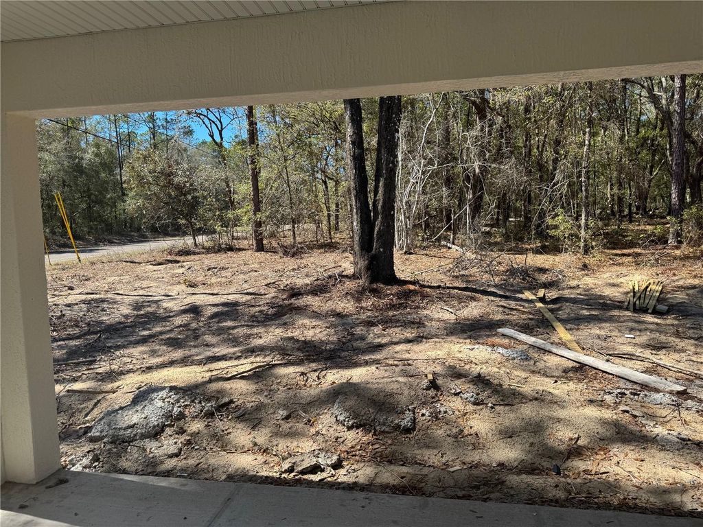 Photo of 214 E Caldwell Drive, Citrus Springs, FL 34434 (MLS # O6386600)