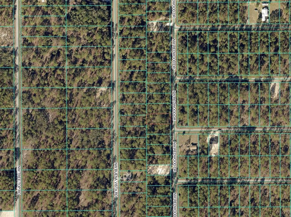 Photo of 1110 NW Redwood Drive, Dunnellon, FL 34431 (MLS # OM716676)