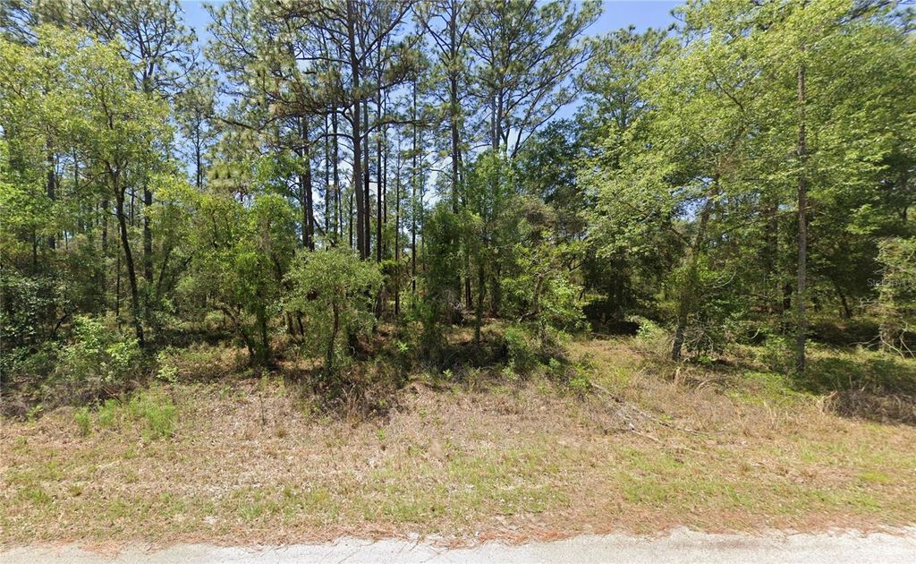 Photo of 1110 NW Redwood Drive, Dunnellon, FL 34431 (MLS # OM716676)