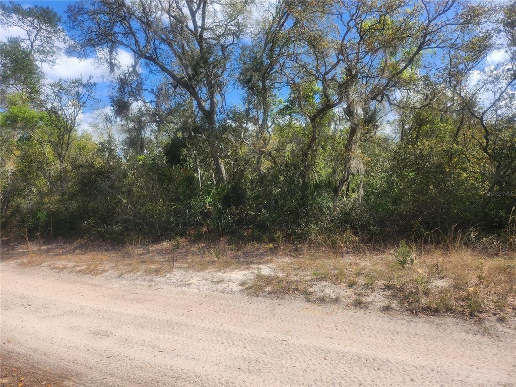 Photo of Tbd NE 236 Lane, Orange Springs, FL 32182 (MLS # OM722569)