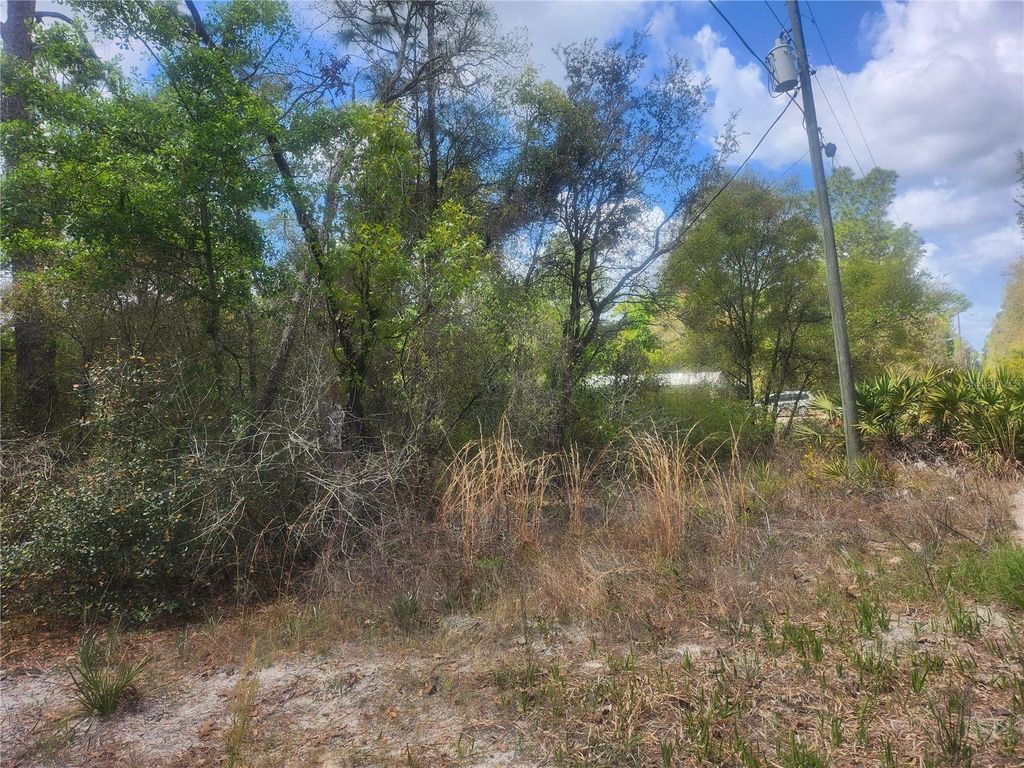 Photo of Tbd NE 236 Lane, Orange Springs, FL 32182 (MLS # OM722569)