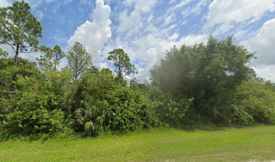 Discover the perfect canvas for your dream home on this expansive 2.5-acre lot in the peaceful Montura Ranches community. Enjoy the freedom of rural living with plenty of space for a custom home, barn, pool, RV parking, or hobby farm. This property offers room for livestock, gardening, and outdoor recreation while being just a short drive to Clewiston amenities, shopping, and dining. With no HOA restrictions, the possibilities are endless. Montura Ranches also features a community clubhouse, pool, and children’s play area, making it ideal for families seeking a country lifestyle close to Lake Okeechobee and major roadways.