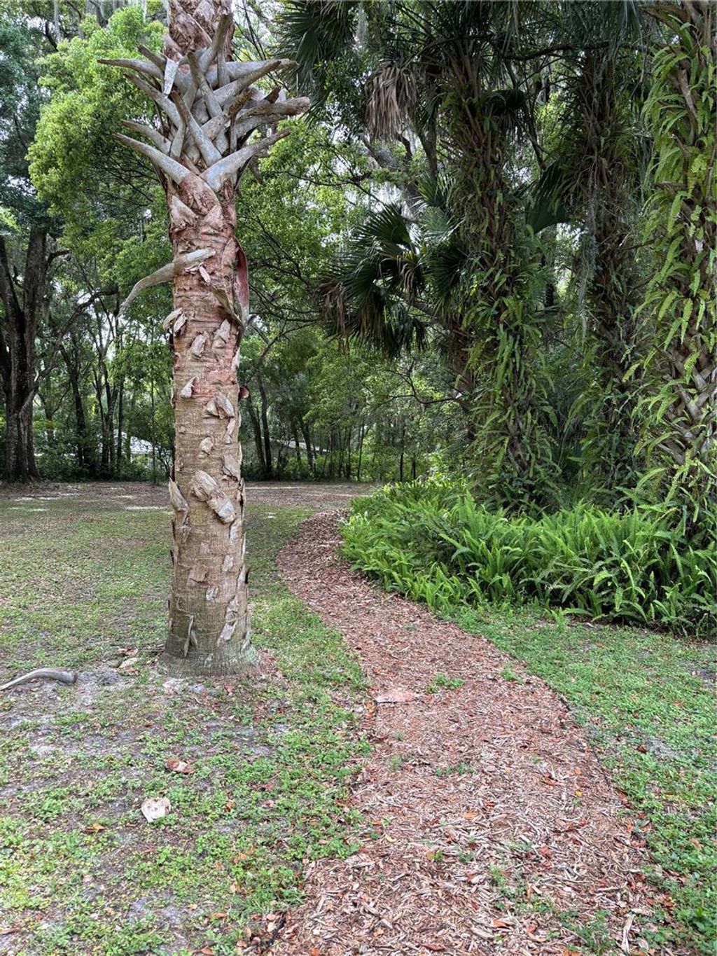 Photo of Grand Avenue, Deland, FL 32720 (MLS # V4936076)