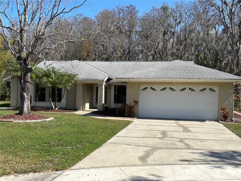 A home in ORLANDO