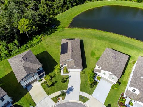 A home in RIVERVIEW