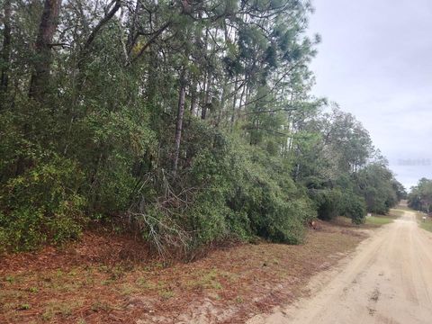 SW 51ST LANE OCALA FL 34481