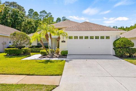 Single Family Residence in NEW PORT RICHEY FL 1621 CORTLEIGH DR Dr.jpg
