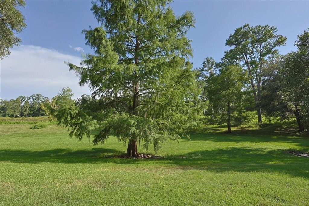 Photo of 2710 NW 105th Drive, Gainesville, FL 32606 (MLS # GC532629)