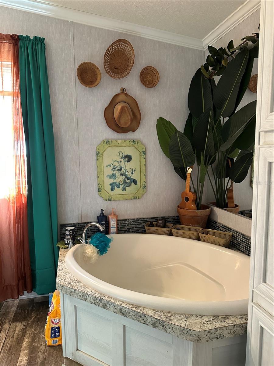 TOWN OF CITRONELLE - Residential