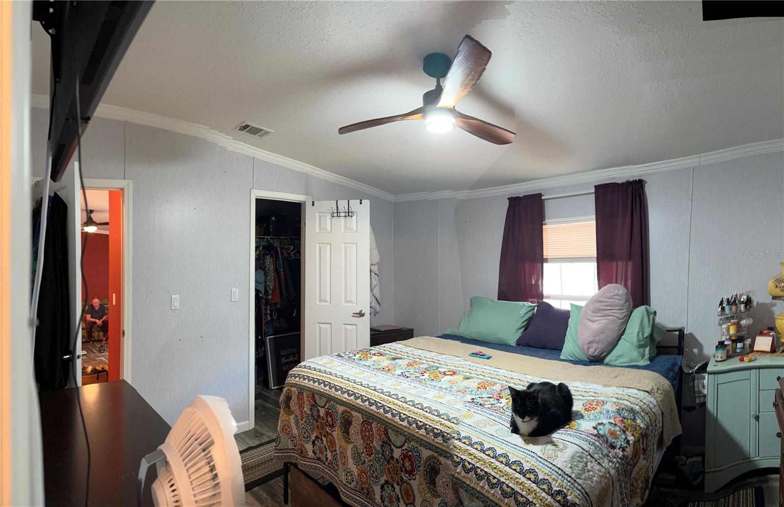 TOWN OF CITRONELLE - Residential