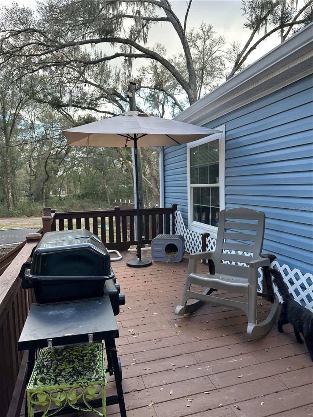 Photo of 7790 N Hamilton Road, Dunnellon, FL 34433 (MLS # O6386741)