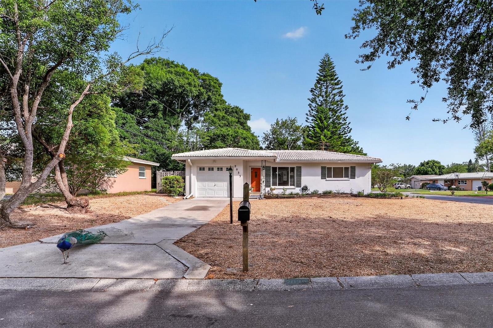 2033 TIMBER LANE