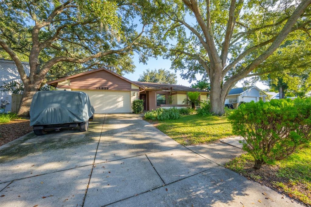 Photo of 12929 Rain Forest Street, Temple Terrace, FL 33617 (MLS # TB8434379)
