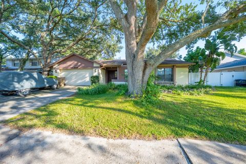 12929 RAIN FOREST STREET TEMPLE TERRACE FL 33617