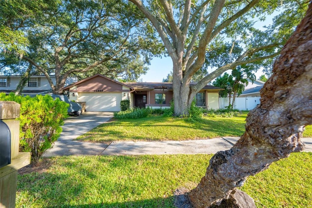 Photo of 12929 Rain Forest Street, Temple Terrace, FL 33617 (MLS # TB8434379)