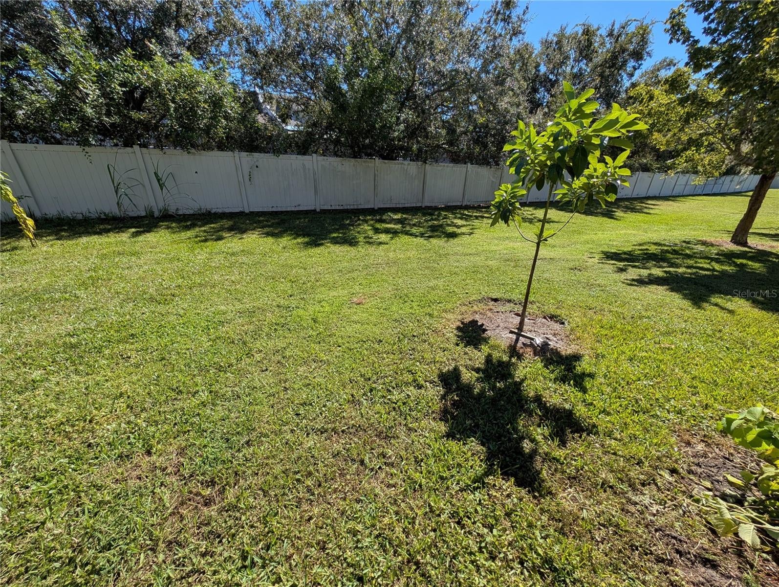 2203 CHATHAM PLACE DRIVE