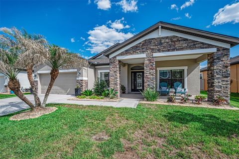 8449 BLUEVINE SKY DRIVE LAND O LAKES FL 34637