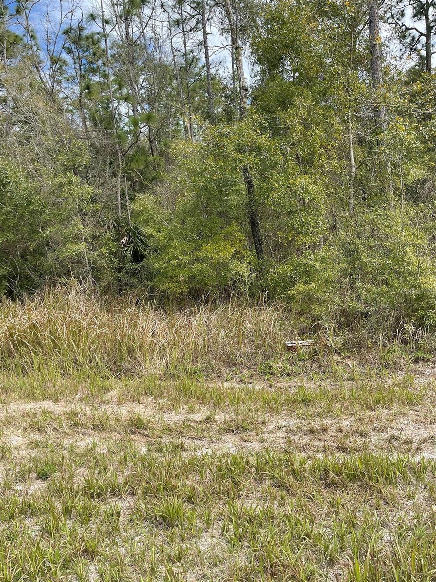 NOW AVAILABLE 8 ACRES (348480 LOT SQ FT); PROPERTY IS IN FLOOD ZONE X, SO ACREAGE IS NOT IN A FLOOD HAZARD ZONE! TWO COMMERCIAL WELLS ON PROPERTY AS THIS ACREAGE WAS A BLUEBERRY FARM, AND IS CURRENTLY ZONED AR1-SINGLE FAMILY HOMES.
ACREAGE IS NEAR HUDSON AVE AND PIGEON RD IN HUDSON.