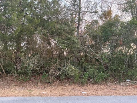 SW 138TH STREET OCALA FL 34473