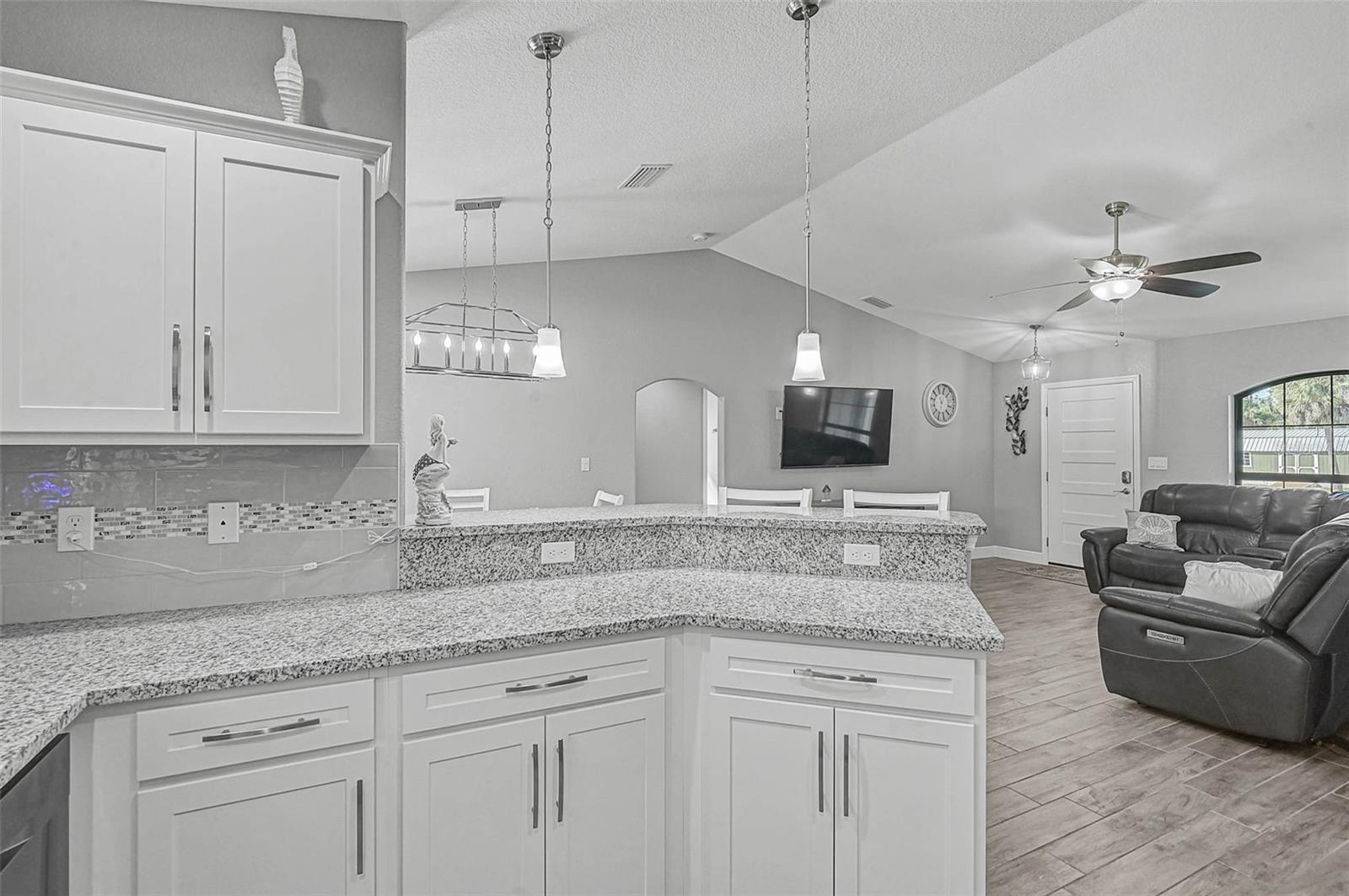 PORT CHARLOTTE SUB 49 - Residential
