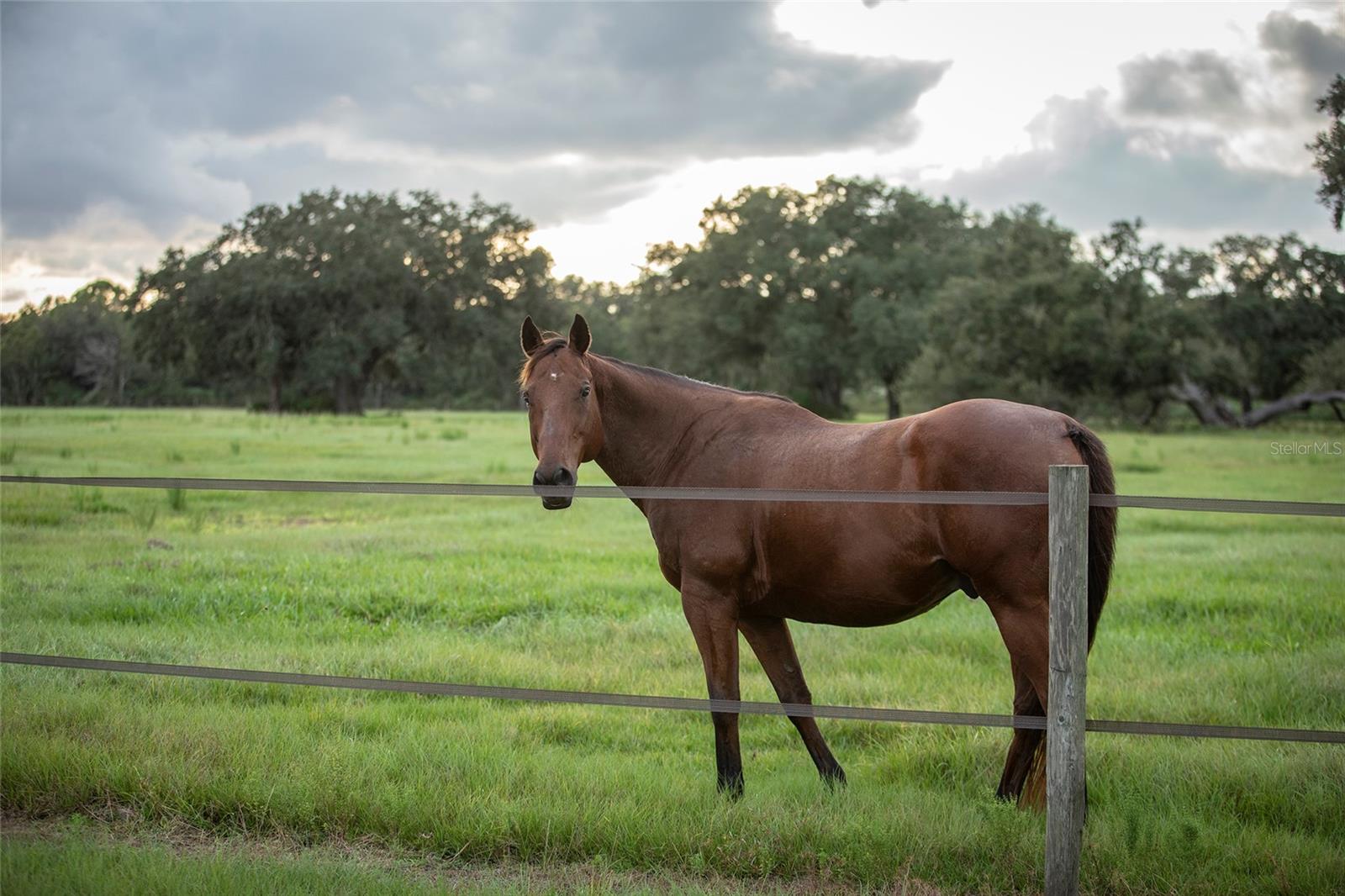 INDIAN HAMMOCK HUNT & RIDING C - Residential