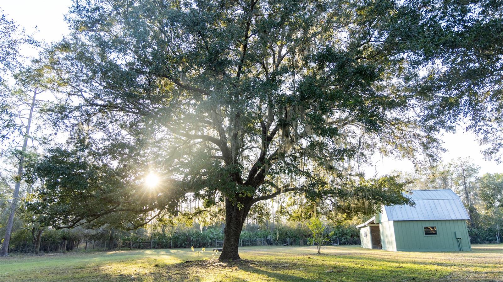 INDIAN HAMMOCK HUNT & RIDING C - Residential