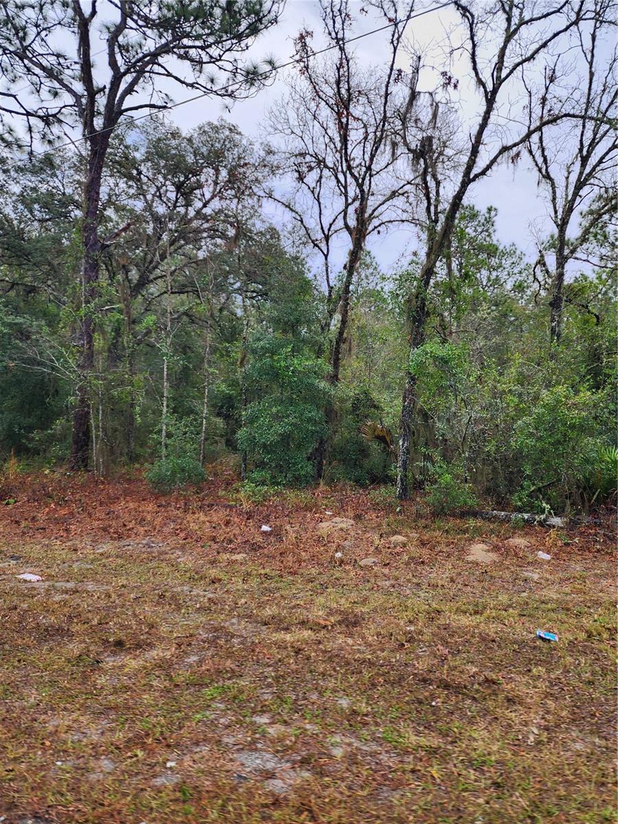 7360 W DUNNELLON ROAD