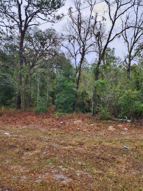 Tiny photo for 7360 W Dunnellon Road, Dunnellon, FL 34433 (MLS # TB8506864)