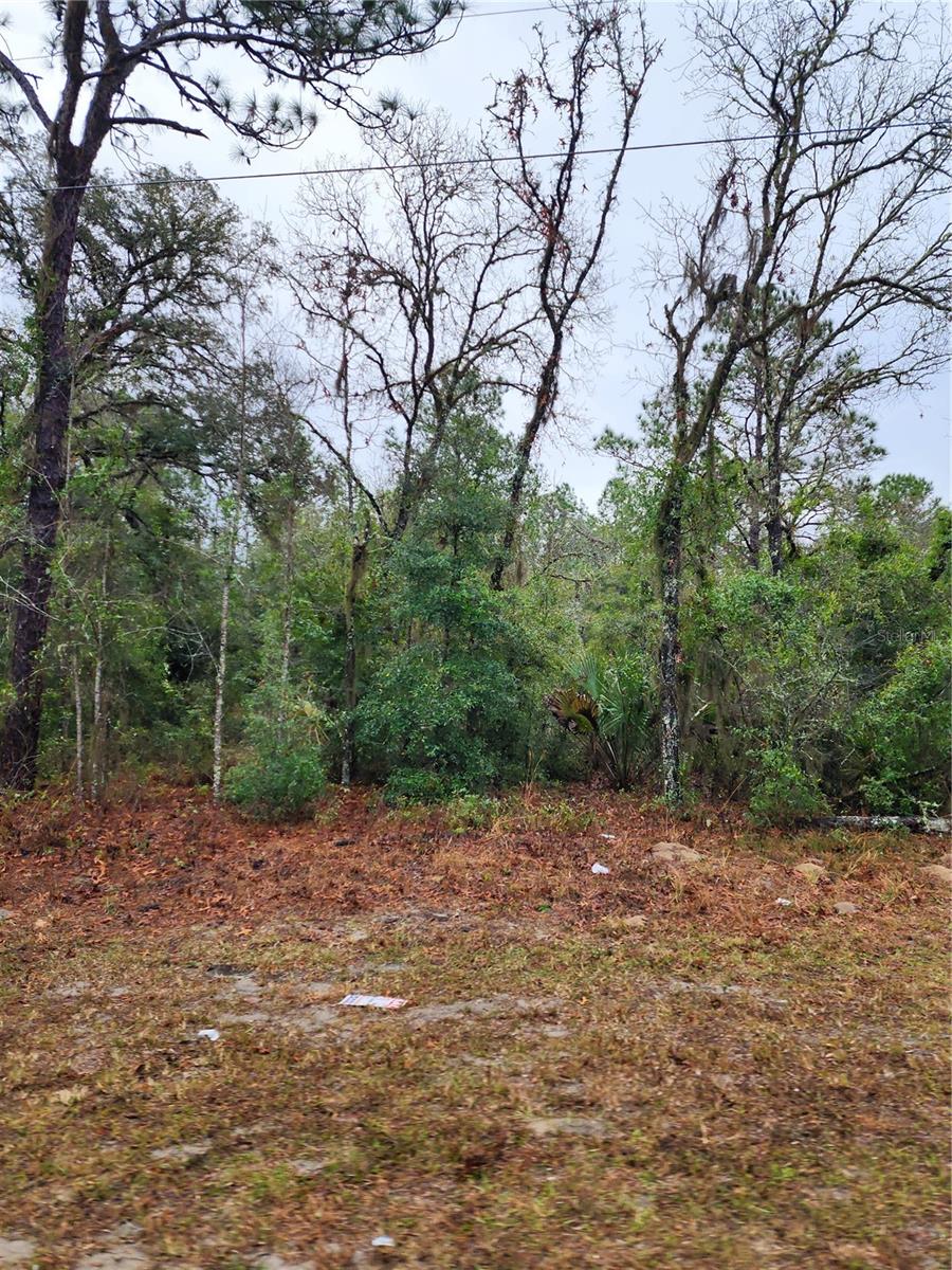 7360 W DUNNELLON ROAD
