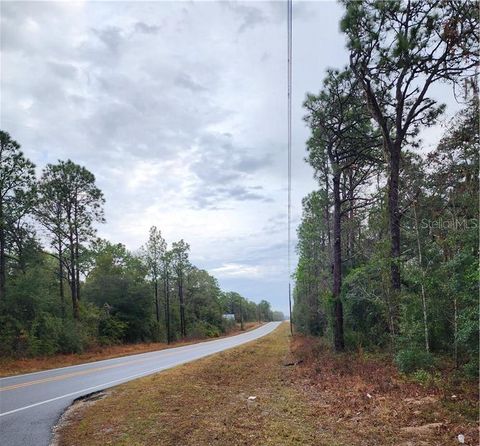 Photo of 7360 W Dunnellon Road, Dunnellon, FL 34433 (MLS # TB8506864)