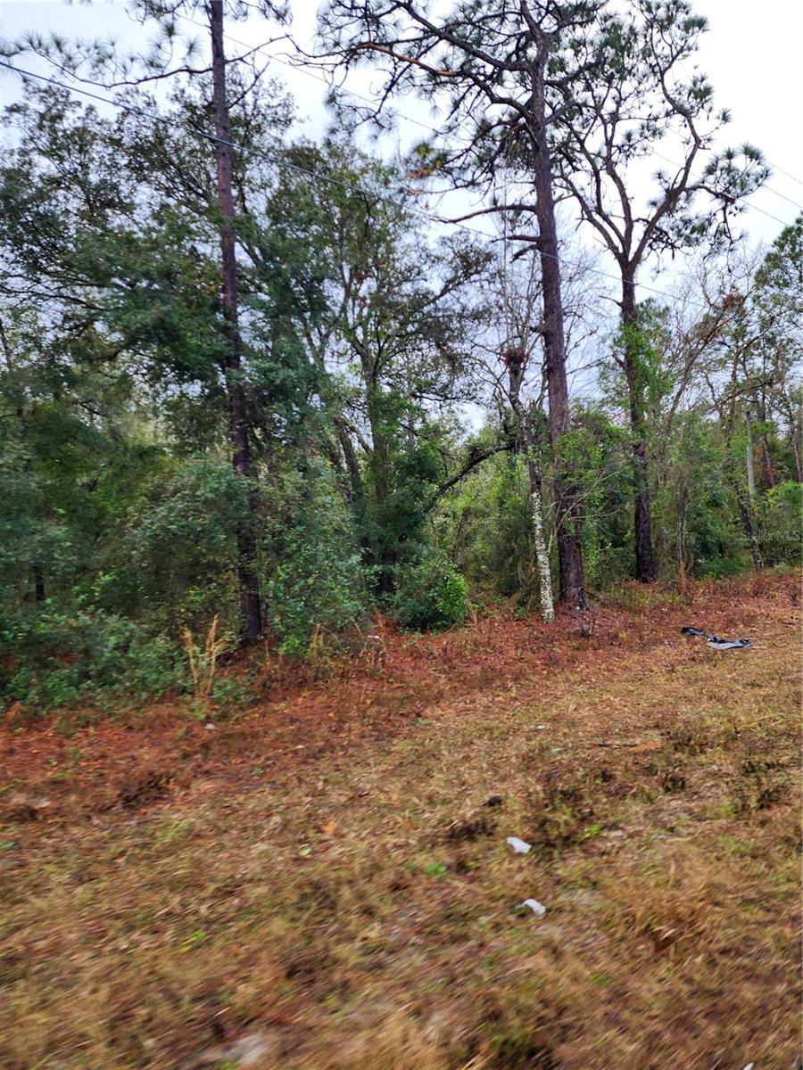 7360 W DUNNELLON ROAD