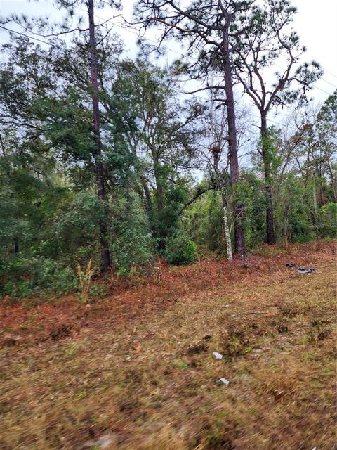 Tiny photo for 7360 W Dunnellon Road, Dunnellon, FL 34433 (MLS # TB8506864)