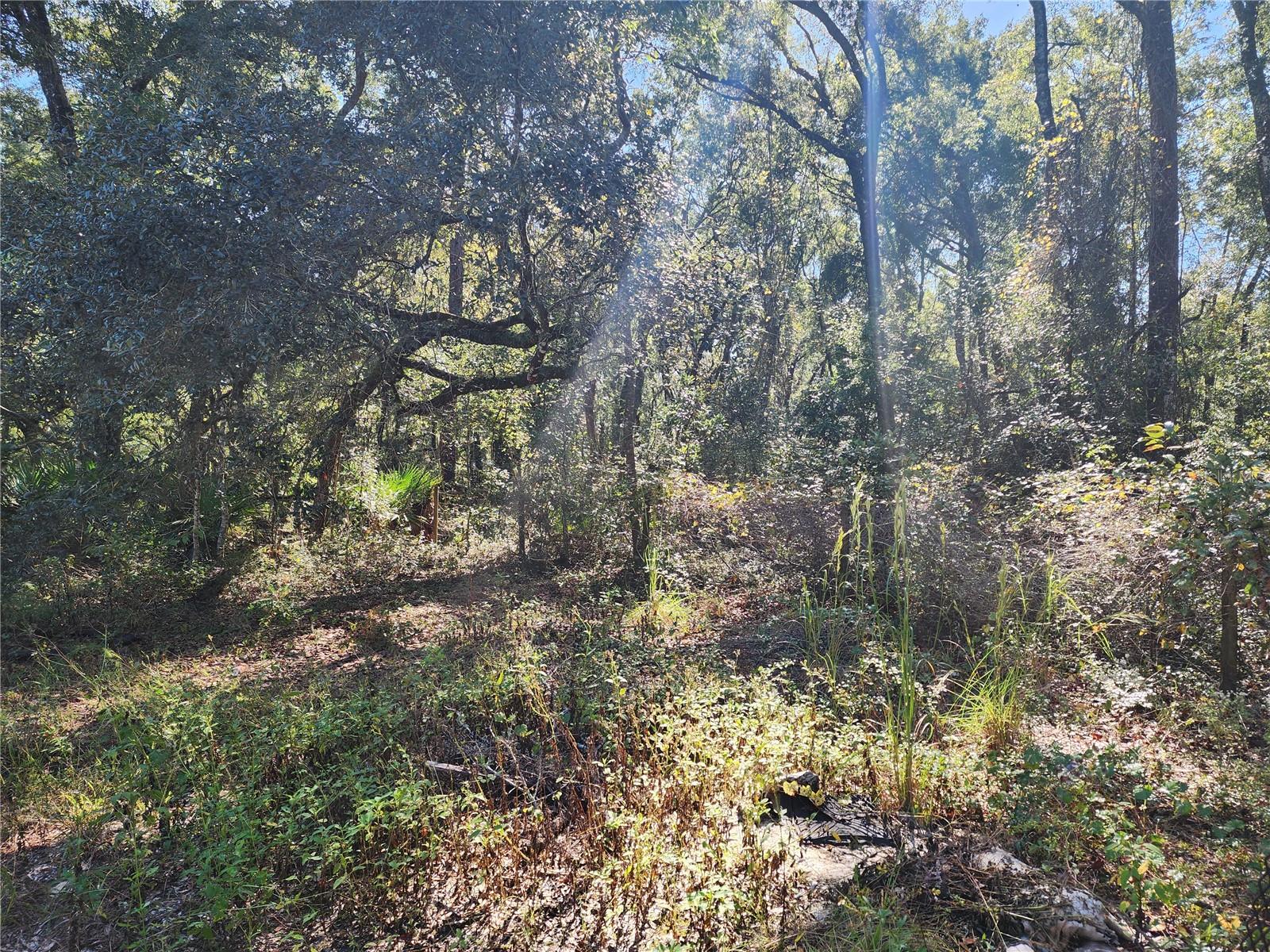 OAKS MEADOWS PHASE II - Residential