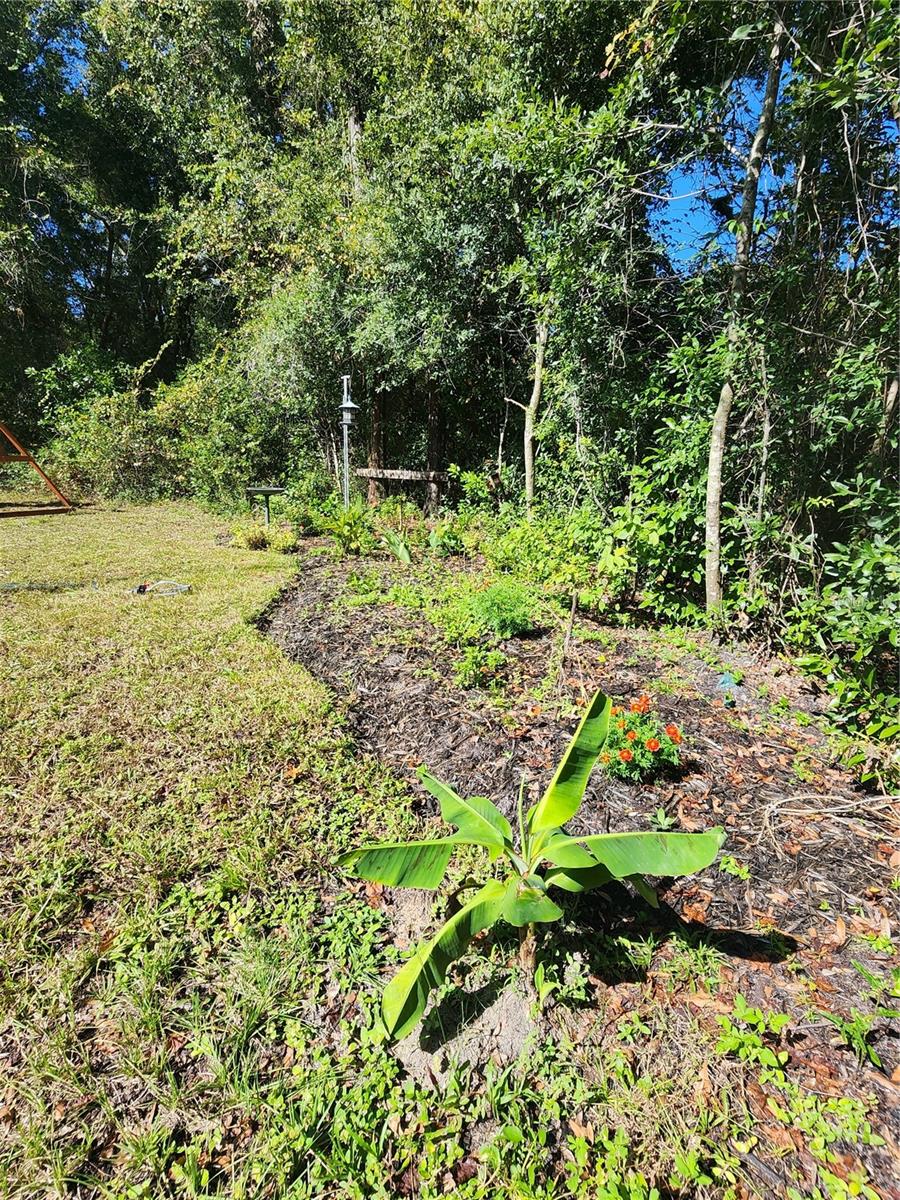 OAKS MEADOWS PHASE II - Residential