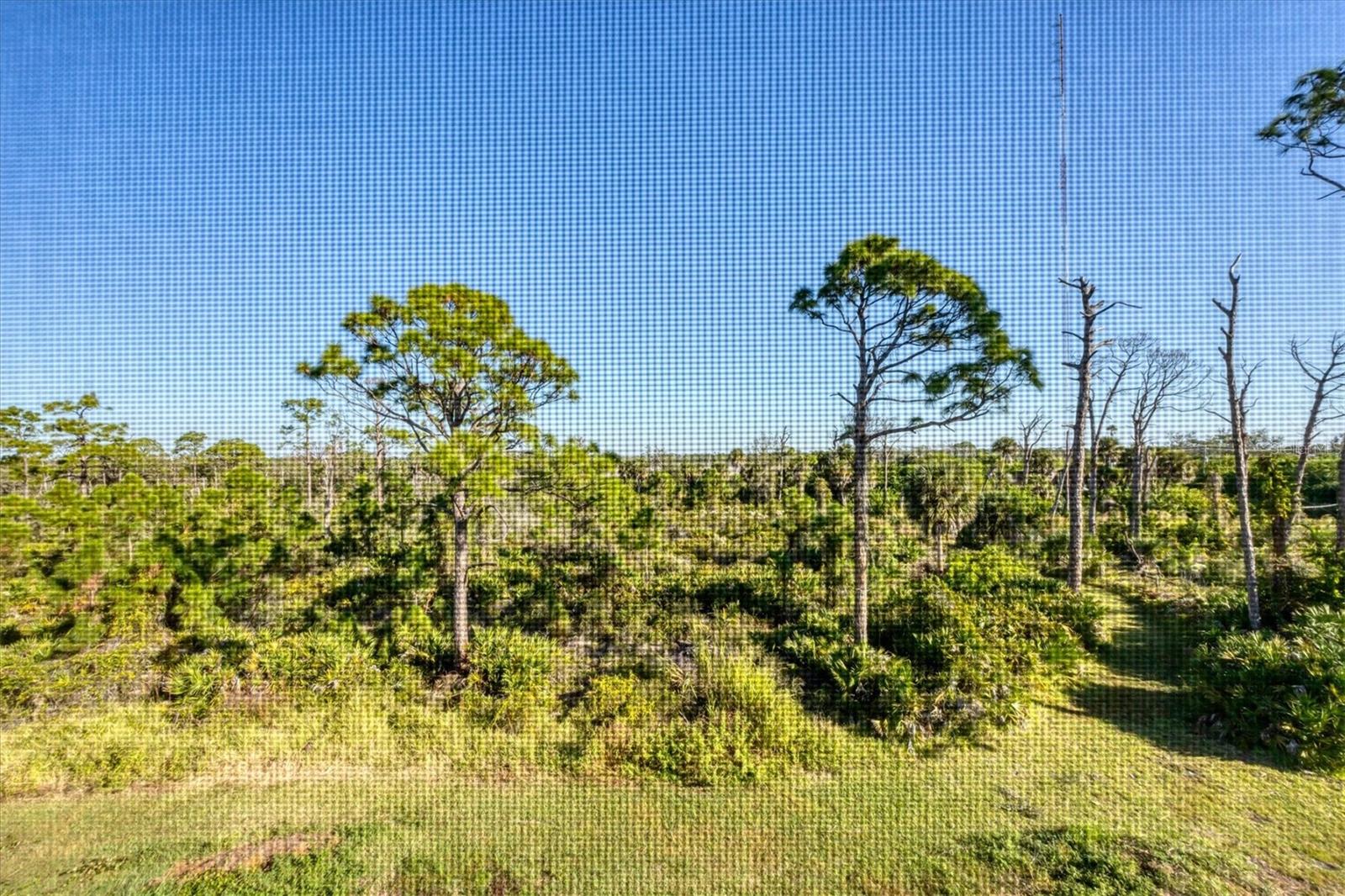 CAPE HAZE RESORT PH 1 - Residential