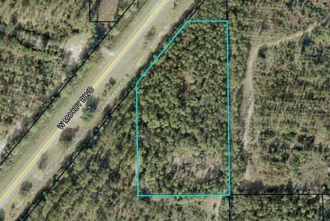 1225 W MOODY BOULEVARD BUNNELL FL 32110