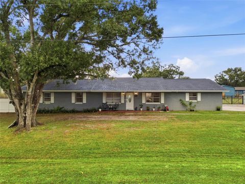 Photo of 311 Park Drive, Wauchula, FL 33873 (MLS # L4957049)