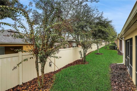 A home in MOUNT DORA