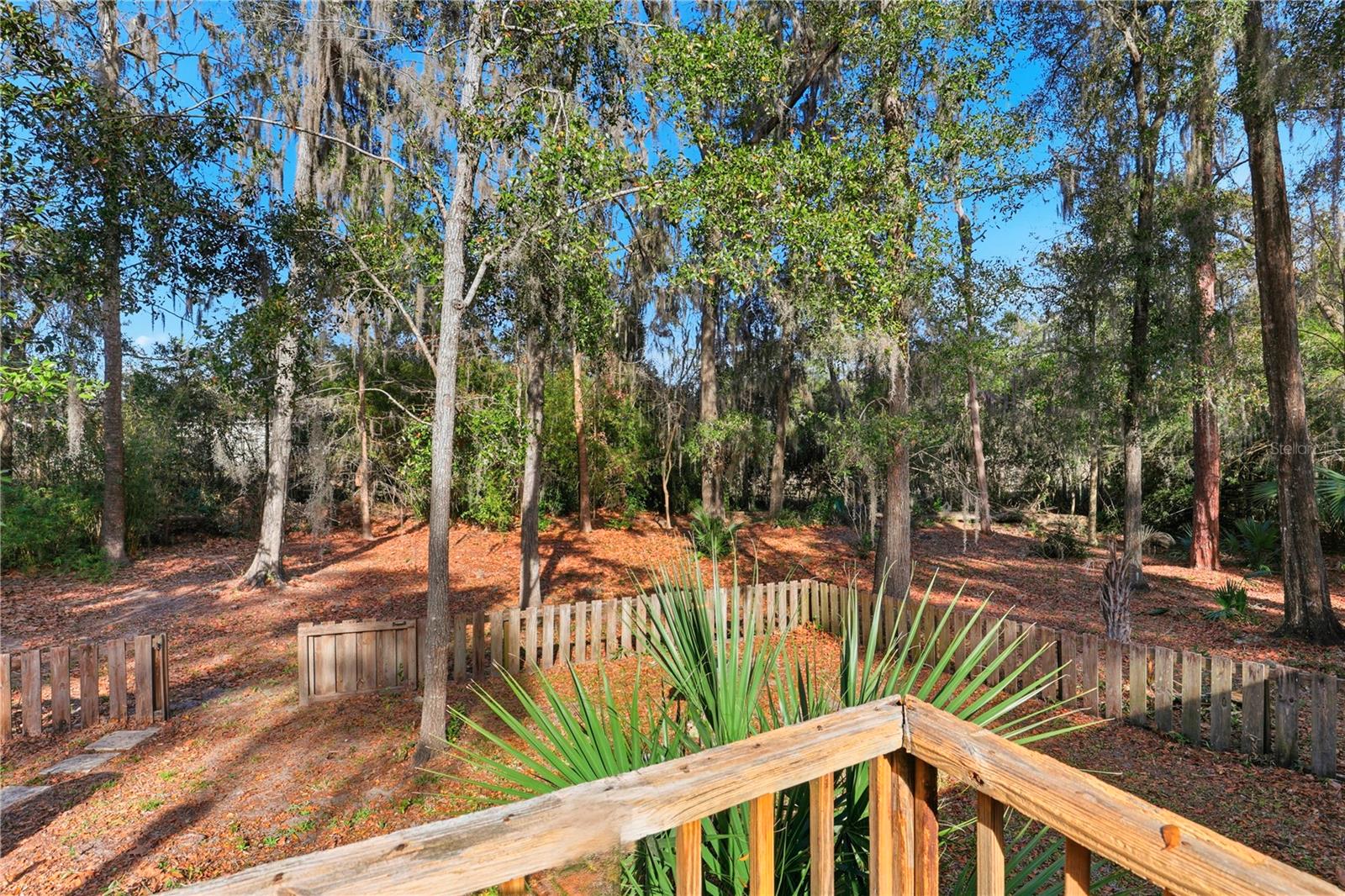 HAILE FOREST - Residential