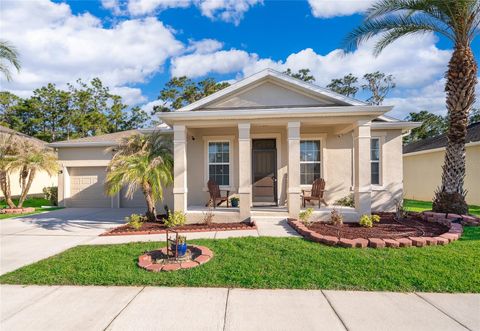 Property photo of 2521 Marshfield Preserve Way, Kissimmee, FL 34746