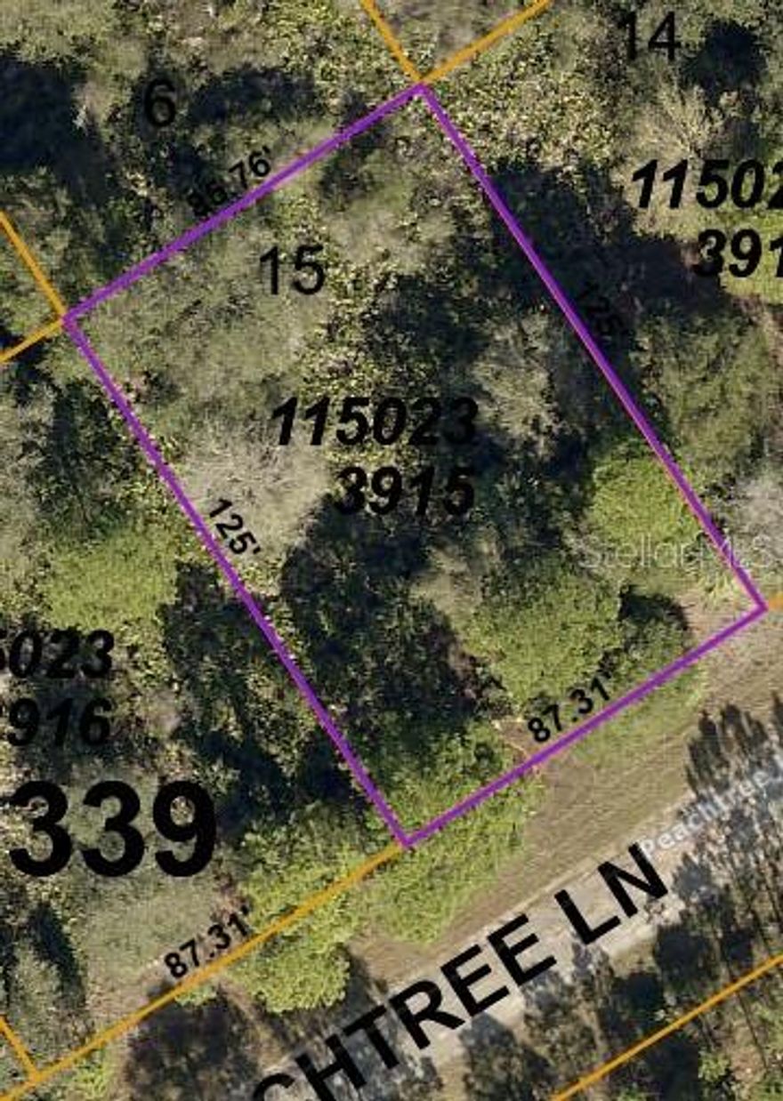Own a piece of up and coming North Port.  This wooded lot is in a peaceful area yet conveniently located to Port Charlotte and North Port.  Electric nearby for easy connection.  NO FLOOD ZONE!  Spring training fields for the Atlanta Braves and the Tampa Bay Rays are only minutes away for the baseball lover.  Close to shopping, restaurants, and beautiful gulf coast beaches.