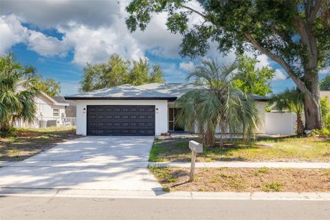 Photo of 2436 Beacon Groves Boulevard, Palm Harbor, FL 34683 (MLS # TB8465304)