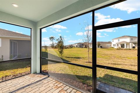 A home in WESLEY CHAPEL